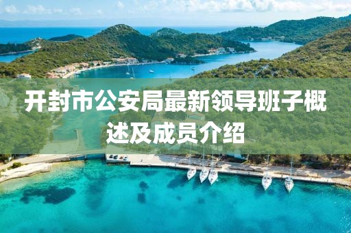 开封市公安局最新领导班子概述及成员介绍