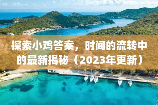 探索小鸡答案，时间的流转中的最新揭秘（2023年更新）