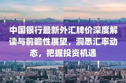 中国银行最新外汇牌价深度解读与前瞻性展望，洞悉汇率动态，把握投资机遇