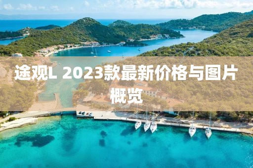 途观L 2023款最新价格与图片概览