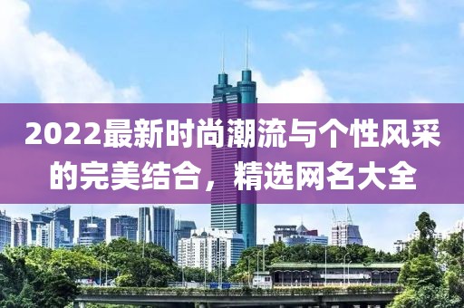 2022最新时尚潮流与个性风采的完美结合，精选网名大全