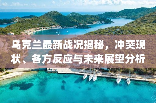 乌克兰最新战况揭秘，冲突现状、各方反应与未来展望分析