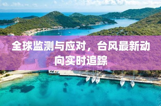 全球监测与应对，台风最新动向实时追踪