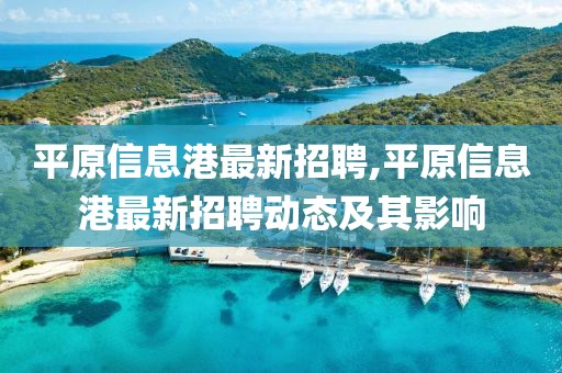 平原信息港最新招聘,平原信息港最新招聘动态及其影响