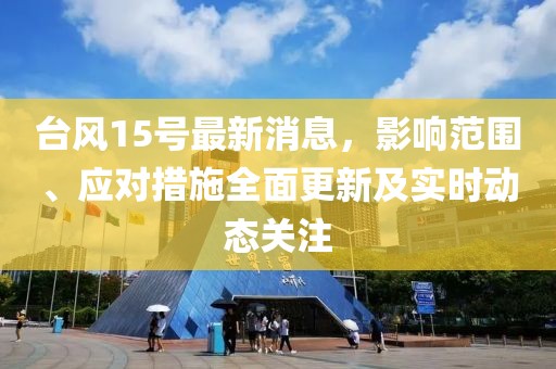 台风15号最新消息，影响范围、应对措施全面更新及实时动态关注