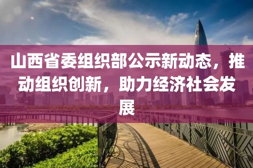 山西省委组织部公示新动态，推动组织创新，助力经济社会发展