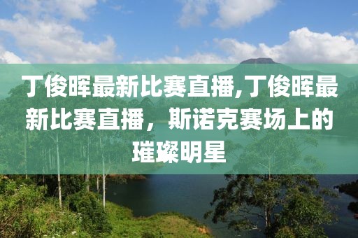 丁俊晖最新比赛直播,丁俊晖最新比赛直播，斯诺克赛场上的璀璨明星