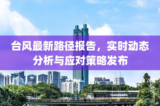 台风最新路径报告，实时动态分析与应对策略发布