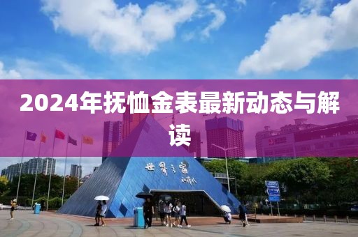 2024年抚恤金表最新动态与解读