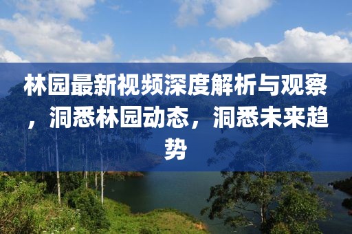 林园最新视频深度解析与观察，洞悉林园动态，洞悉未来趋势