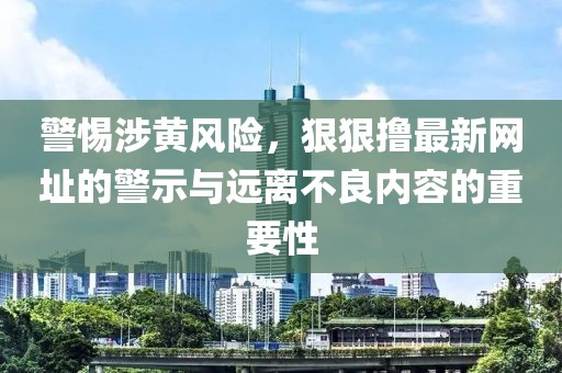 警惕涉黄风险，狠狠撸最新网址的警示与远离不良内容的重要性