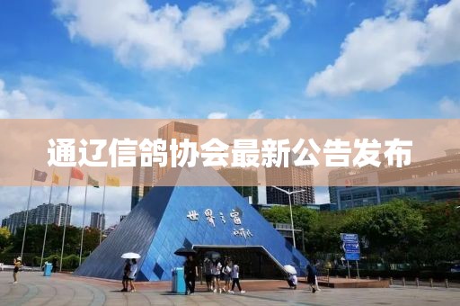 通辽信鸽协会最新公告发布