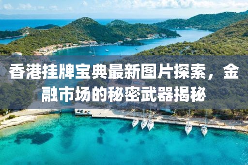 香港挂牌宝典最新图片探索，金融市场的秘密武器揭秘