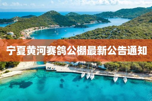 宁夏黄河赛鸽公棚最新公告通知